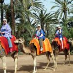 Camel Ride in Marrakech Palmeraie